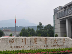 四川農(nóng)業(yè)大學(xué)招生簡(jiǎn)章